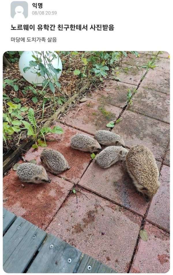 노르웨이 유학간 친구 근황 | 인스티즈