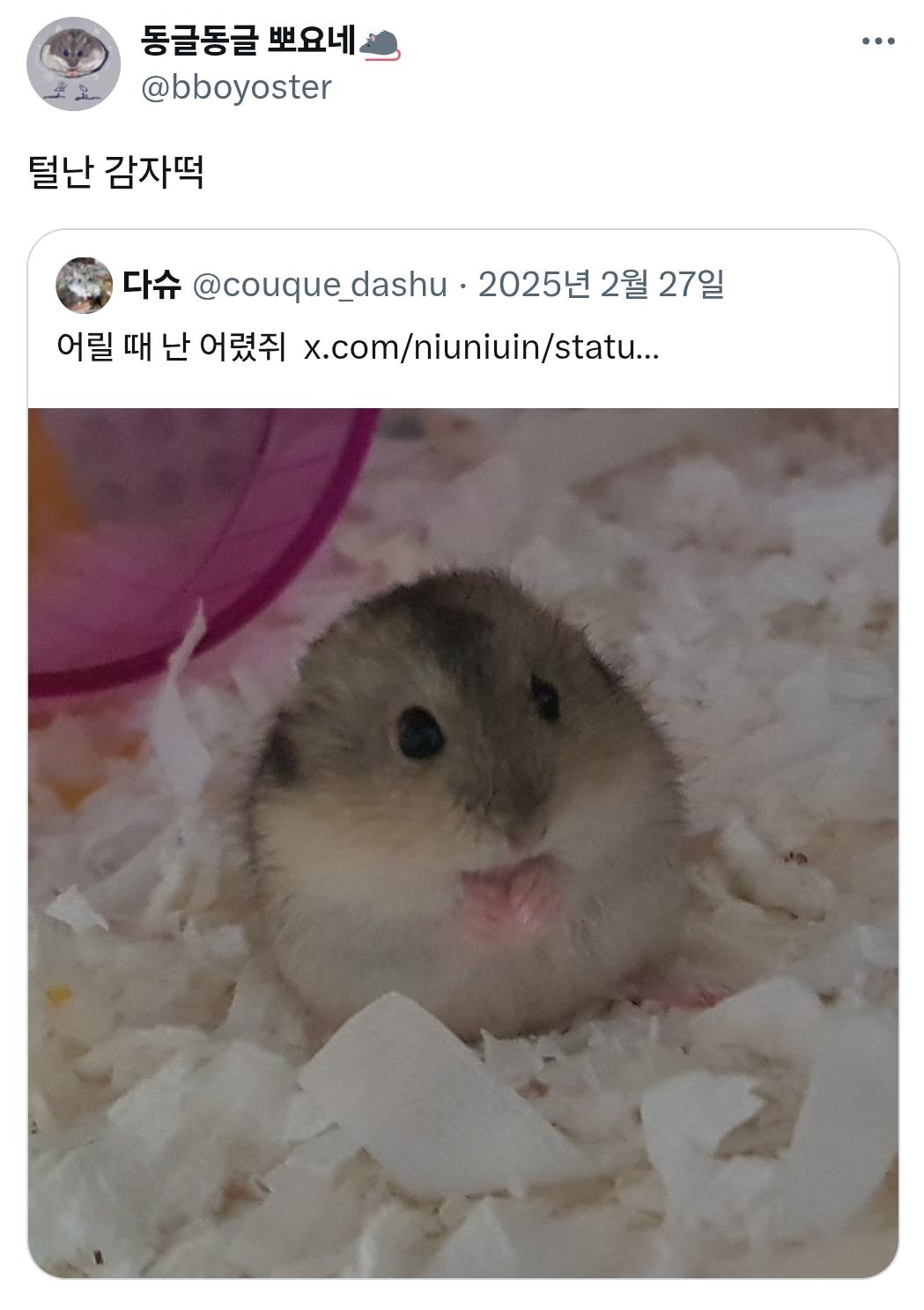 털난 감자떡 | 인스티즈