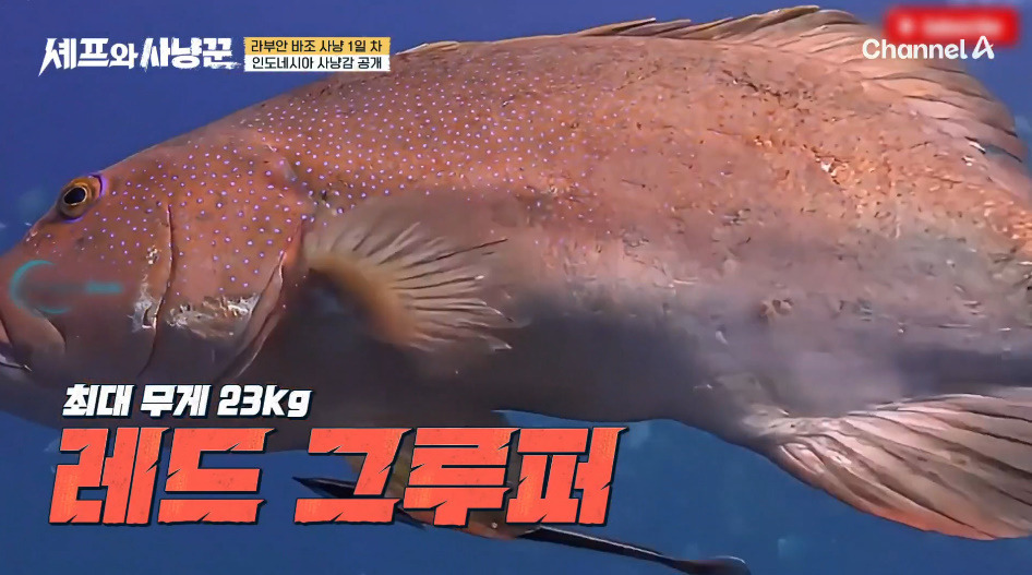 img_20260109_160400_818 (1).jpg