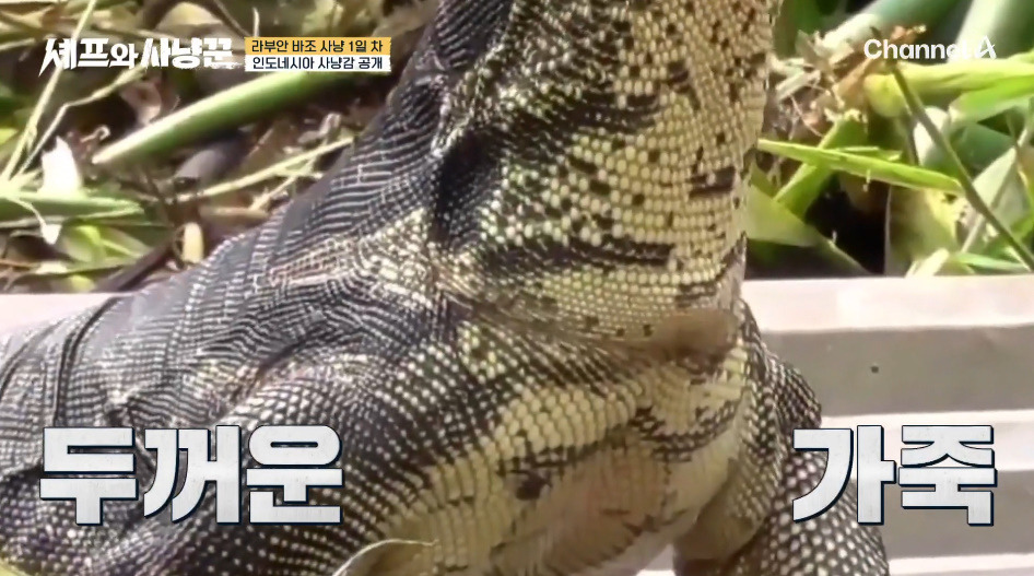 img_20260109_160400_676 (1).jpg