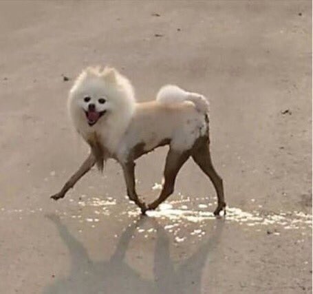 HHPO68nacAASXnK.jpeg