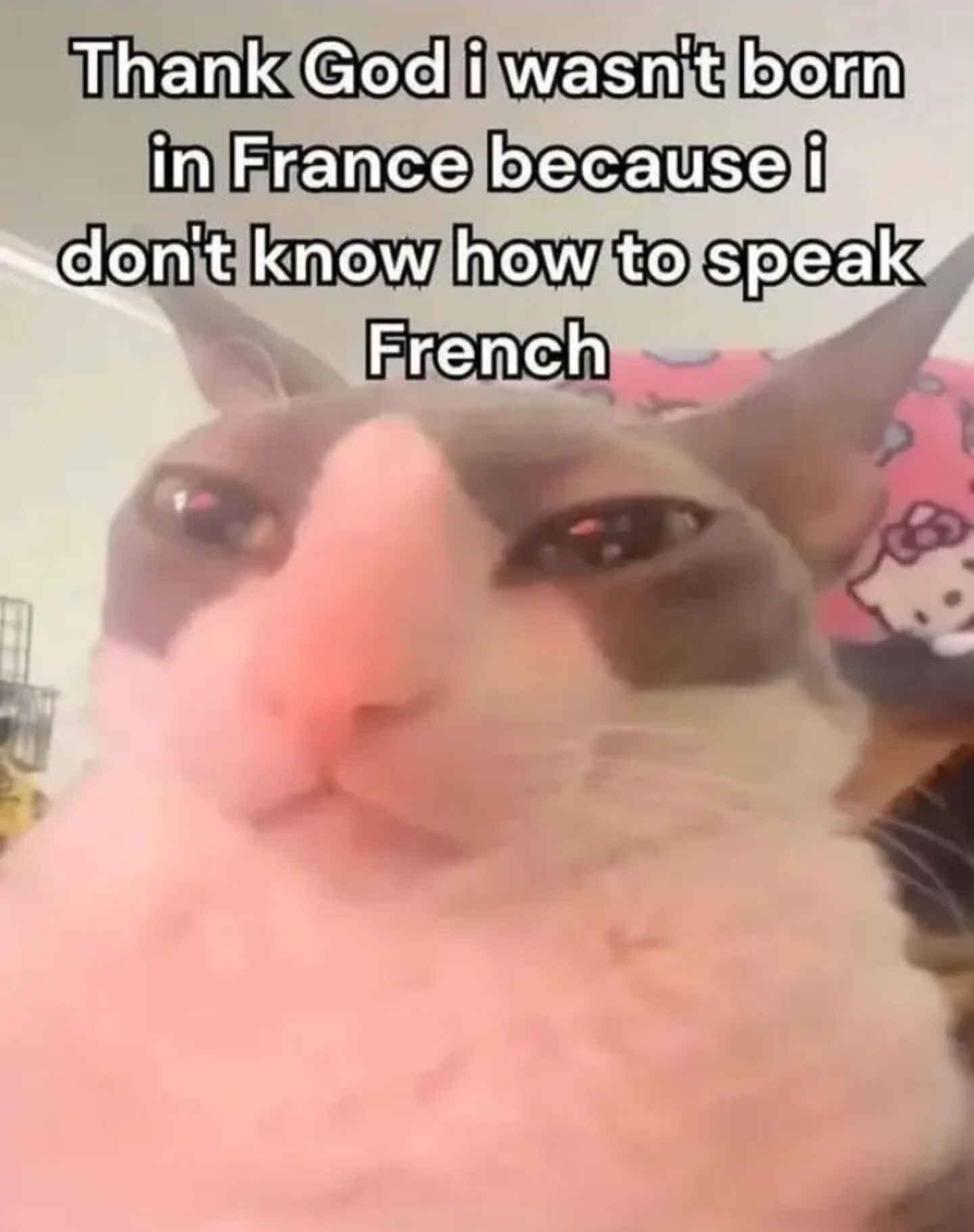 Screenshot_20260502_173309_YouTube.png