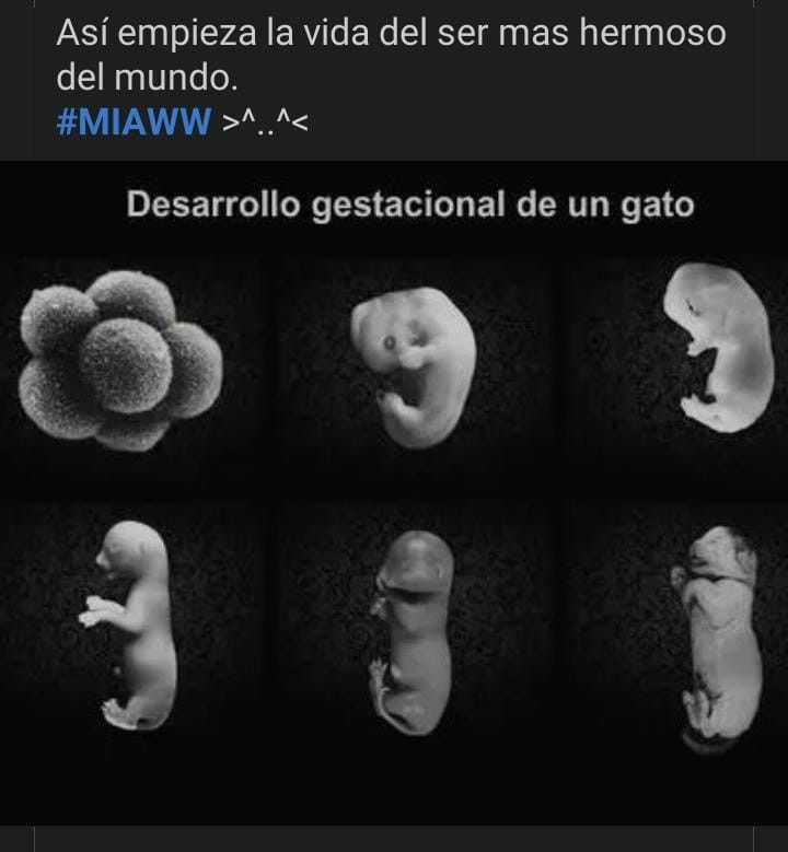 355ed1620b8cf51e784d896acb8f90c7.jpg