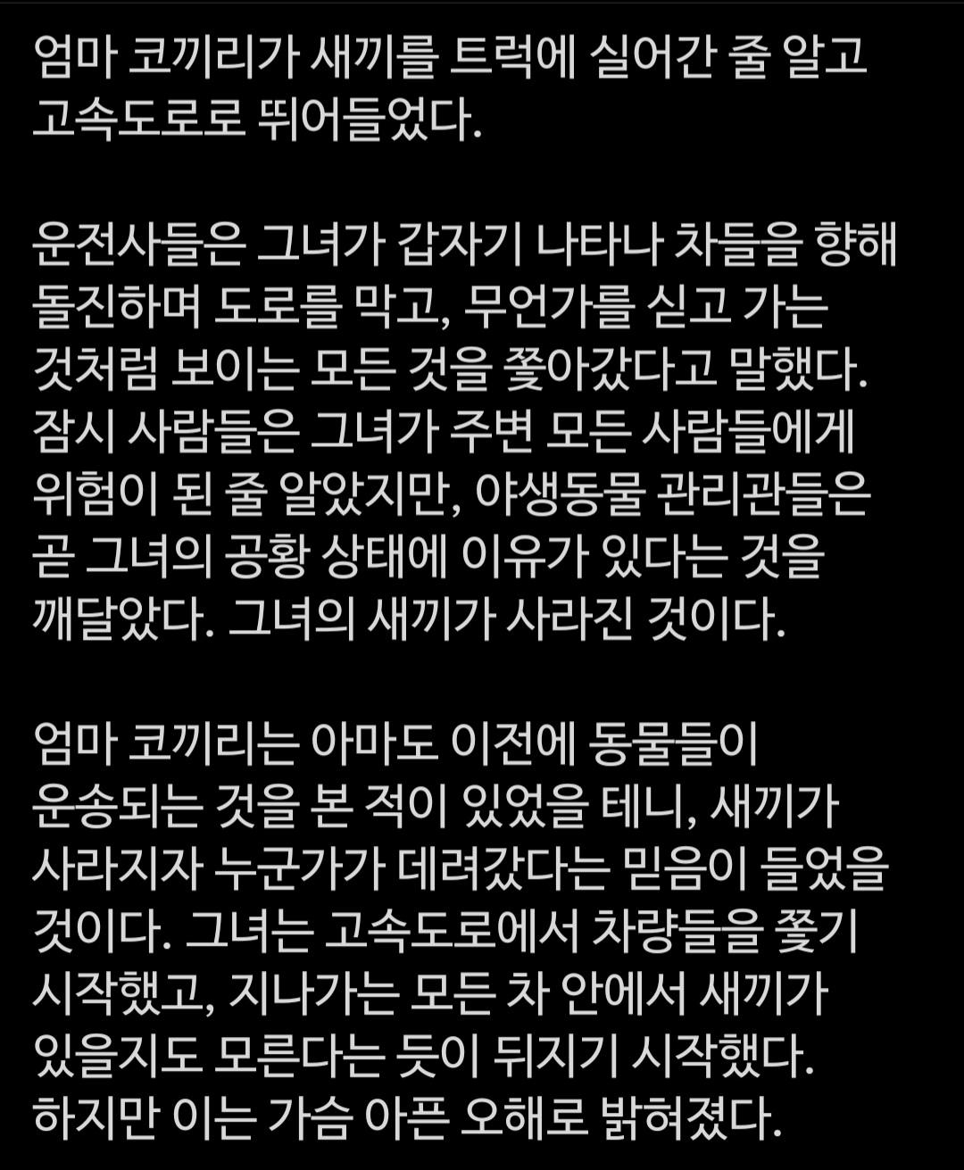 Screenshot_20260503_020718_X.jpg