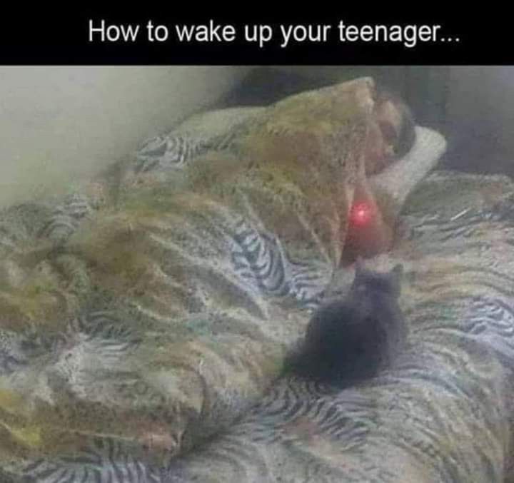 b545c20b716ee936985887077eb675e4.jpg