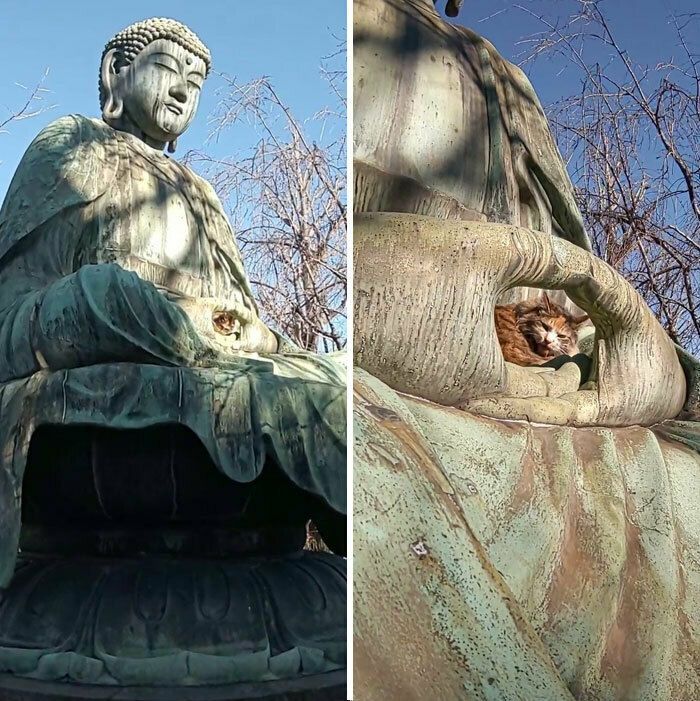 f8f3960dfedc1a74040e0c401ac7420d.jpg