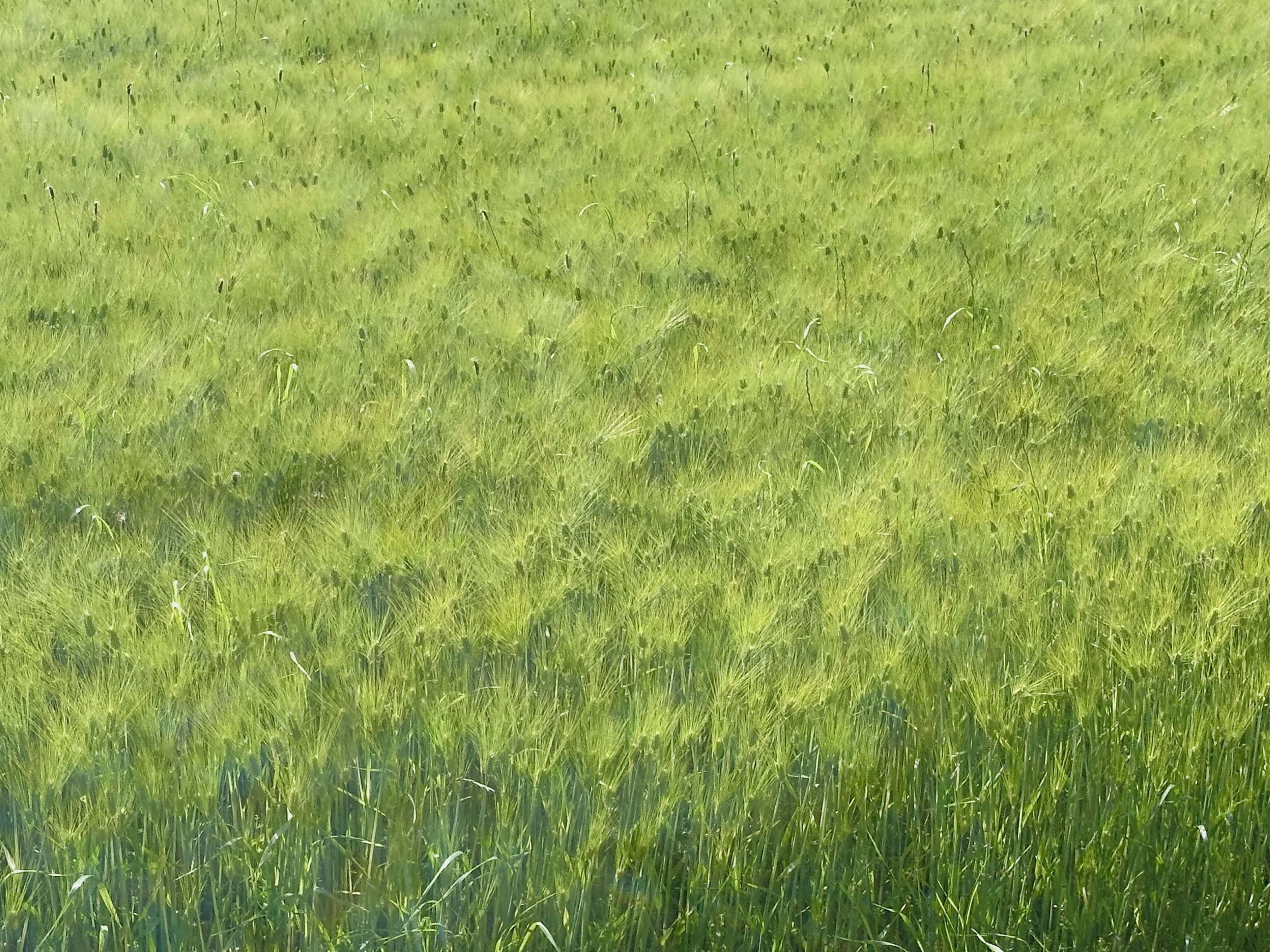 20260505_104646.jpg