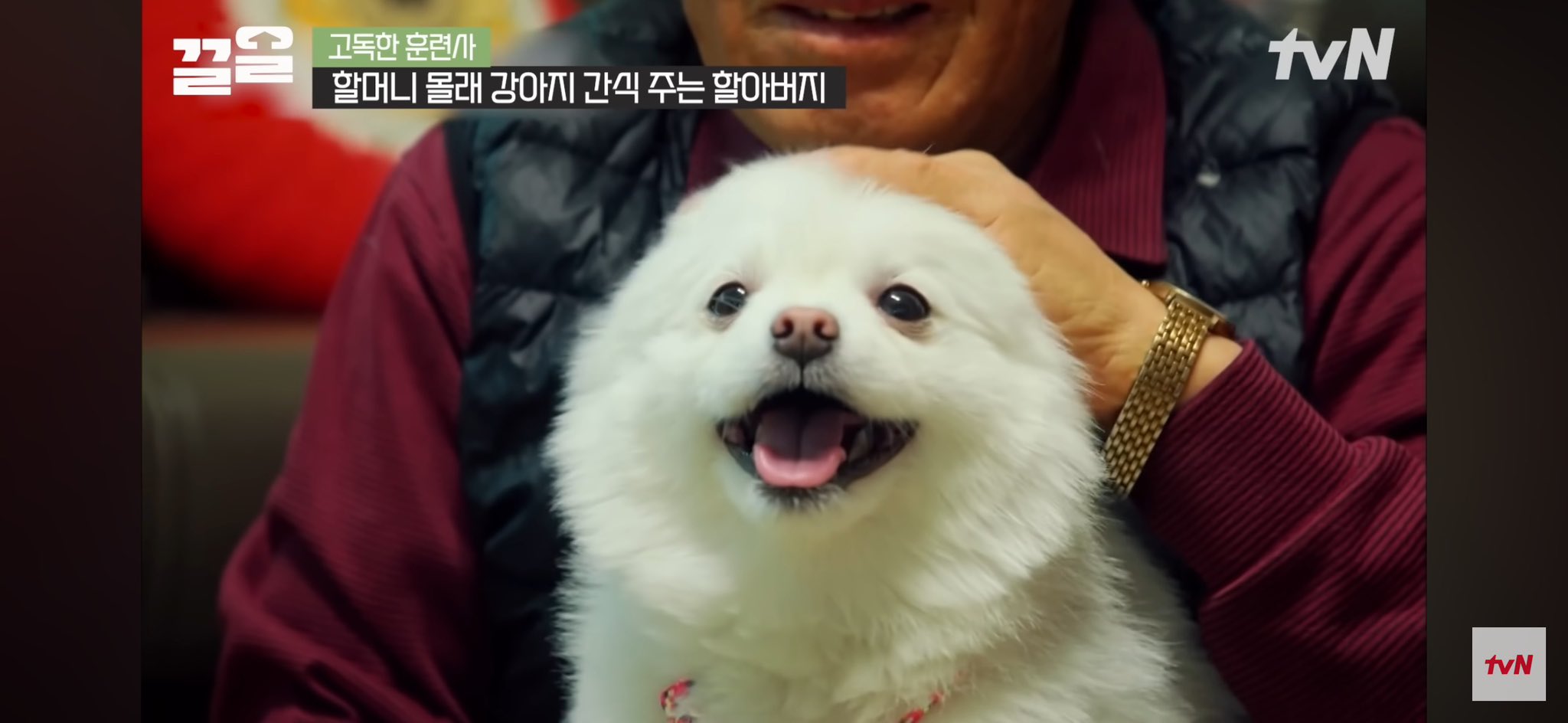 HJyWvswaIAAqgIk.jpeg