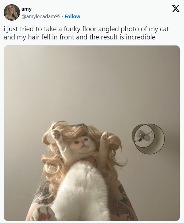 just-tried-take-funky-floor-angled-photo-my-cat-and-my-hair-fell-front-and-result-is-incredible-x.png