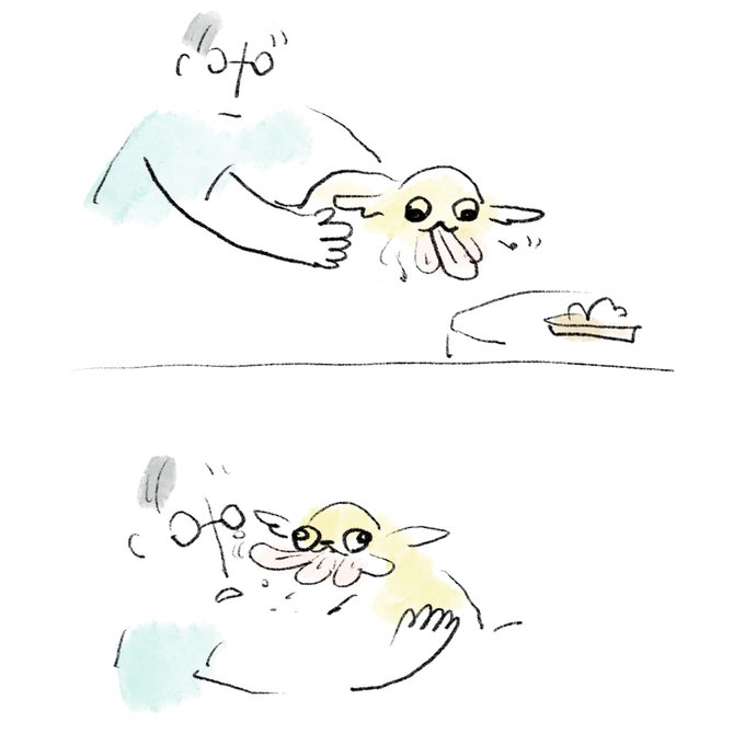 HJxSKPda8AA67Fp.jpeg