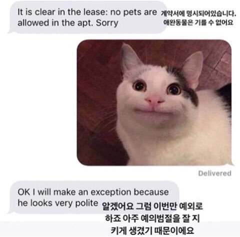 29400bb25e3b161304136f1cc8e2e5e6.jpg