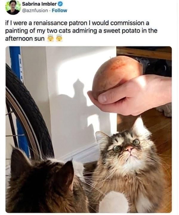 f3828324c854ef2d041167962b6b6f14.jpg