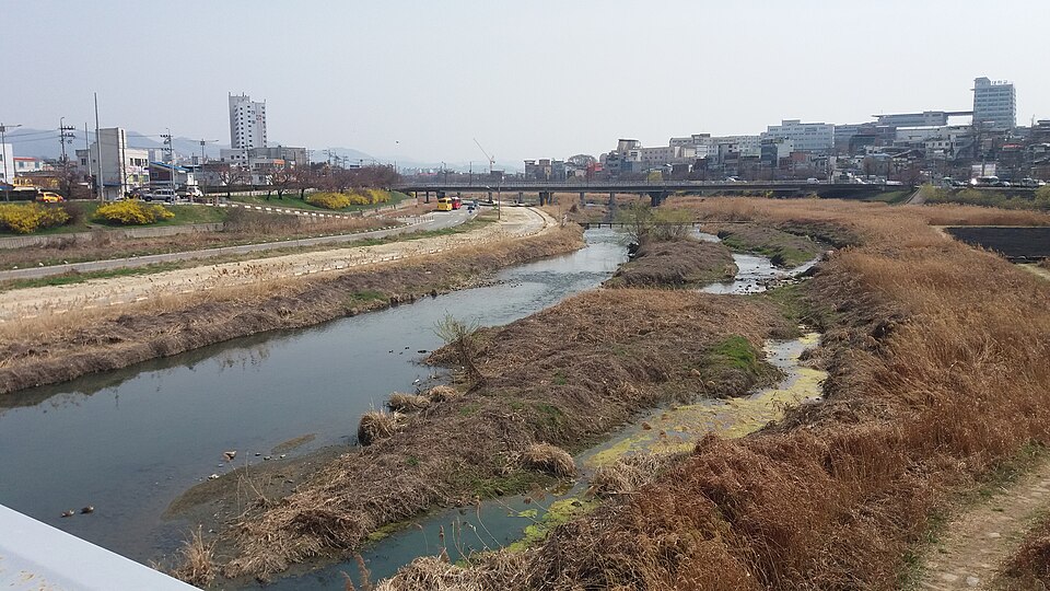 Musim_River.jpg
