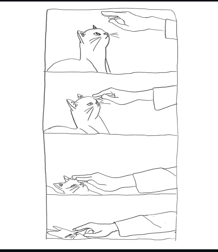 e5a8bd5b232333065a15be368dacd608.jpg