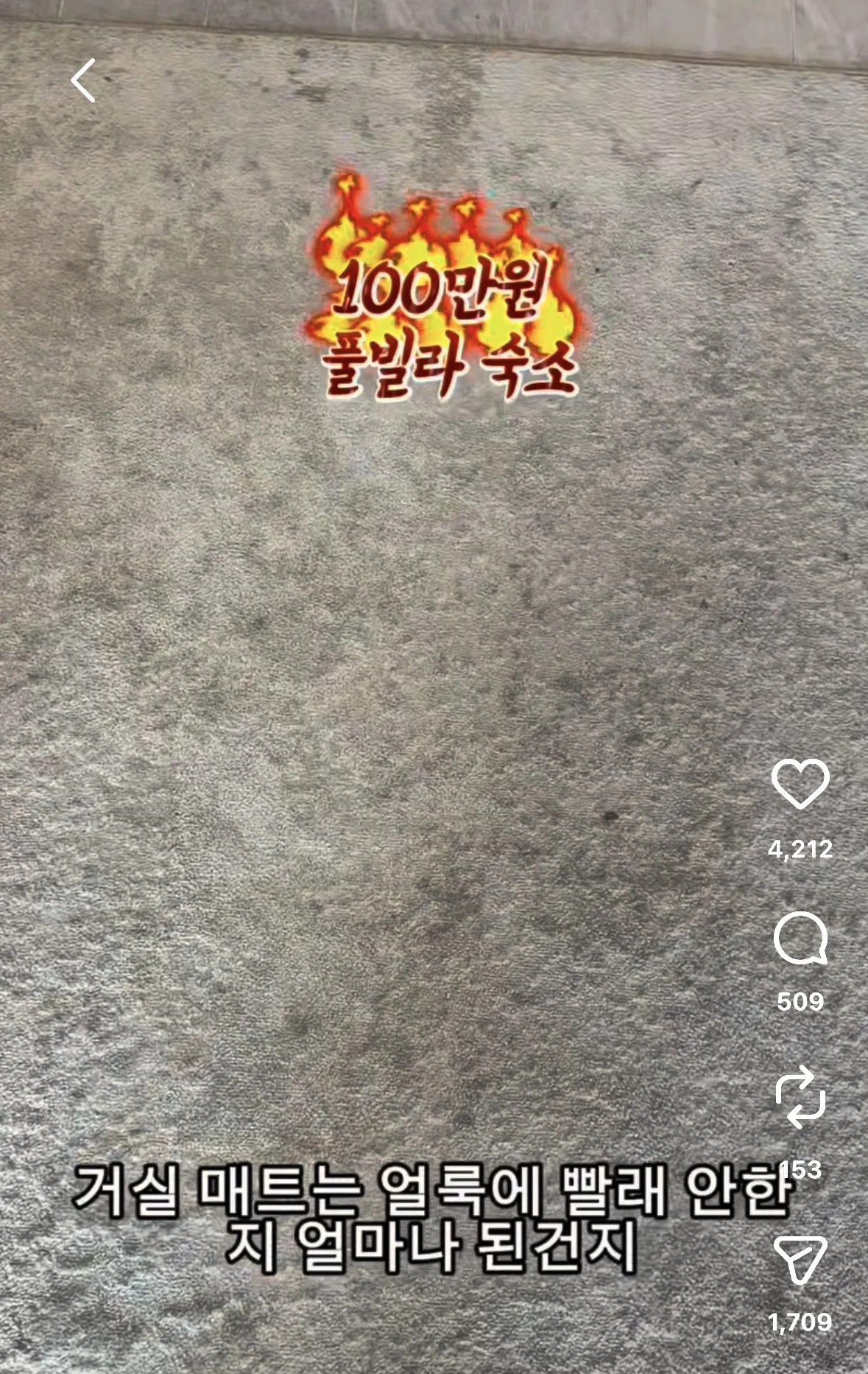 17856359773786919948708172704872.jpg
