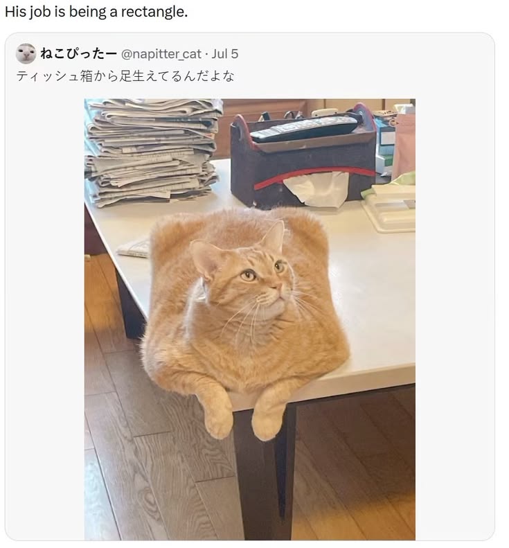 17721efa45dbae0f2c21c89cd68f22a0.jpg