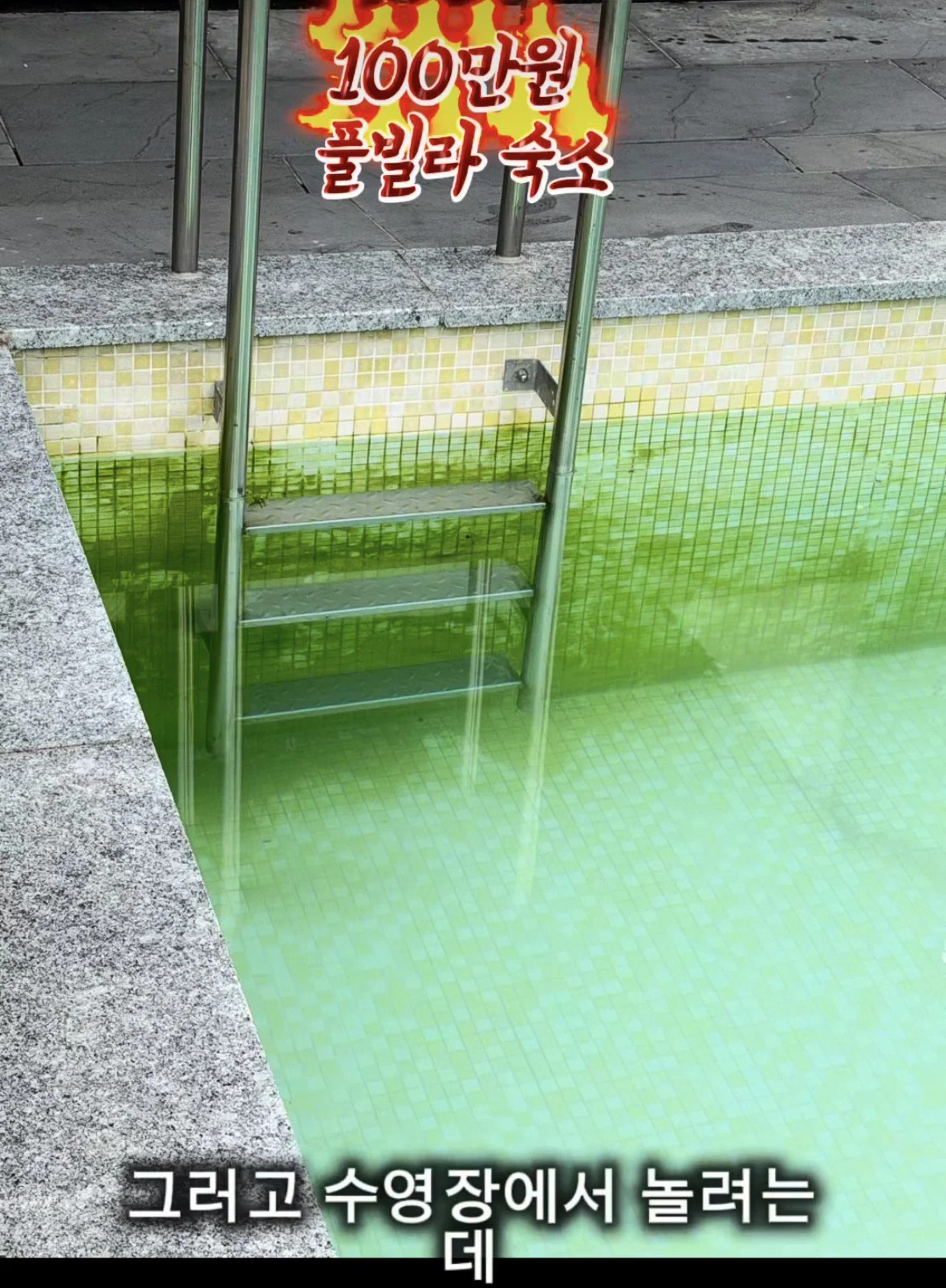17856359345186806611316339986591.jpg