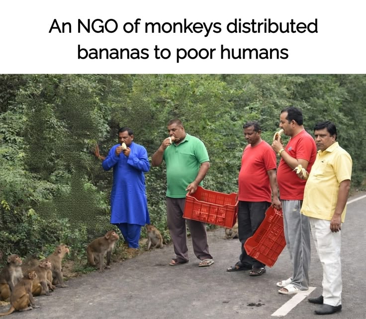 21507f2b0b654419b8ec72431a5c5d86.jpg