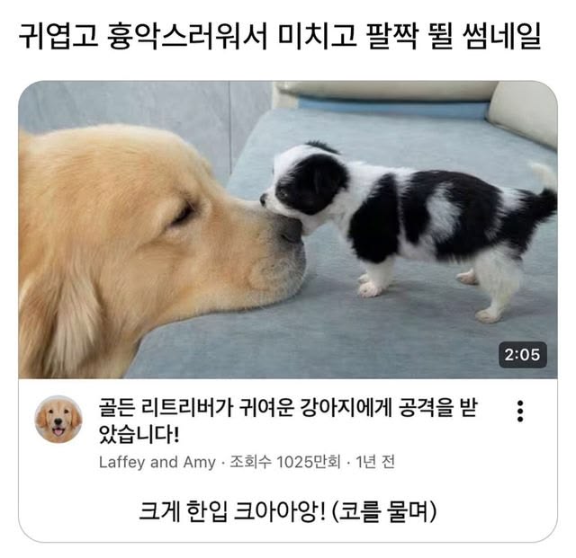 c0d3b45d40f9911fa296f18be6032bd8.jpg