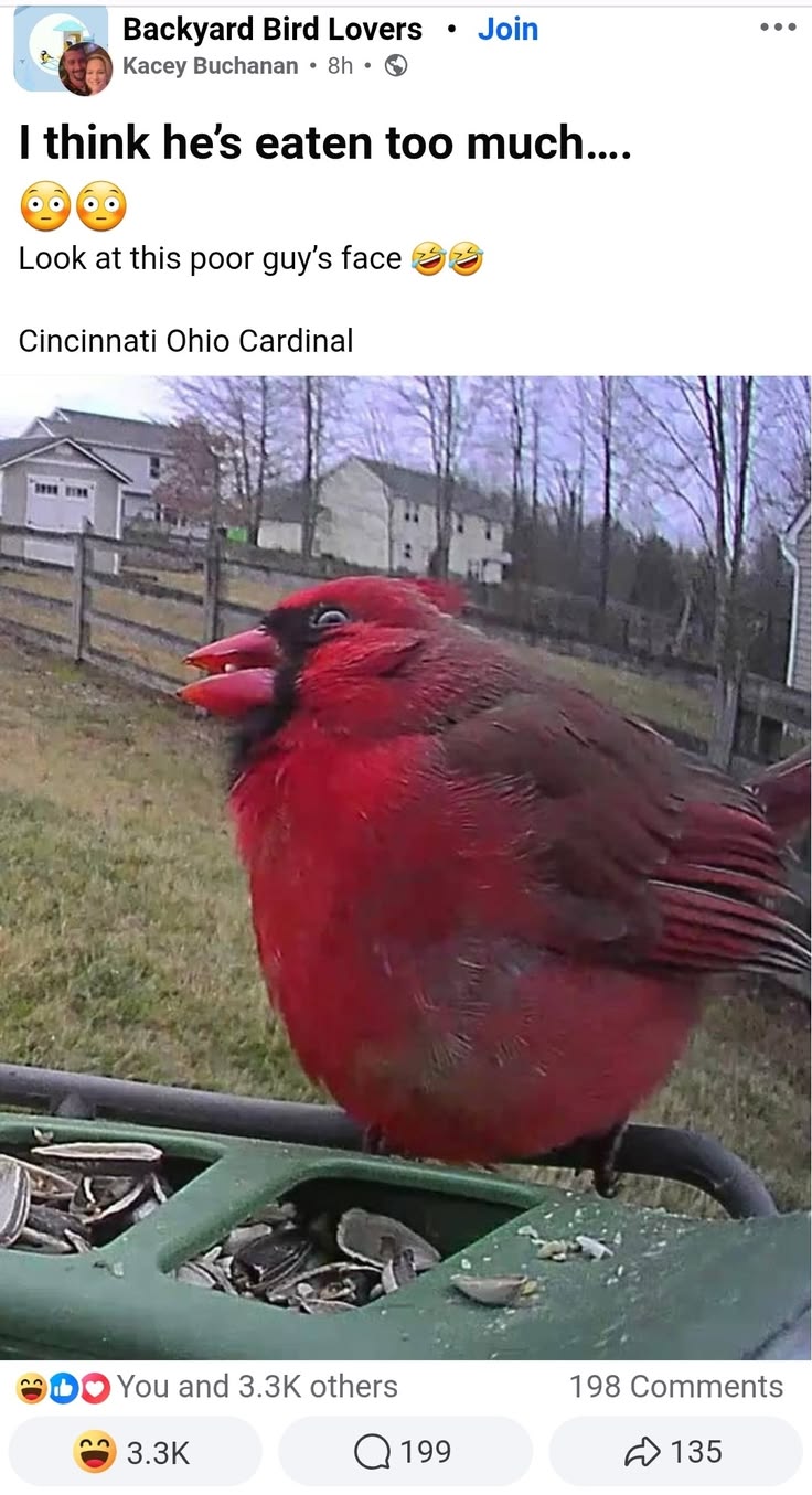 8b861df099b09d3273bdf9bdb97b49db.jpg