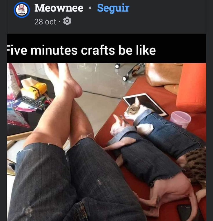 61a6e7c35f48a71e33886fd7322dfe19.jpg
