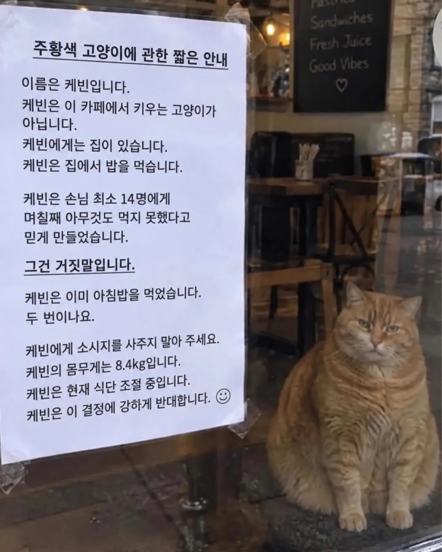 1790724177936.png