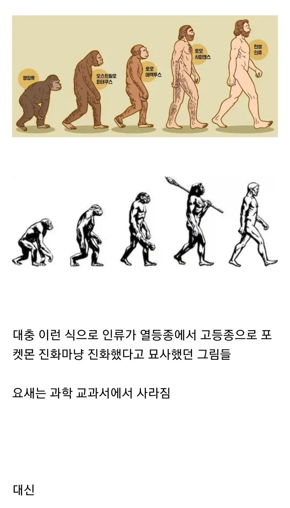 1790688212.webp
