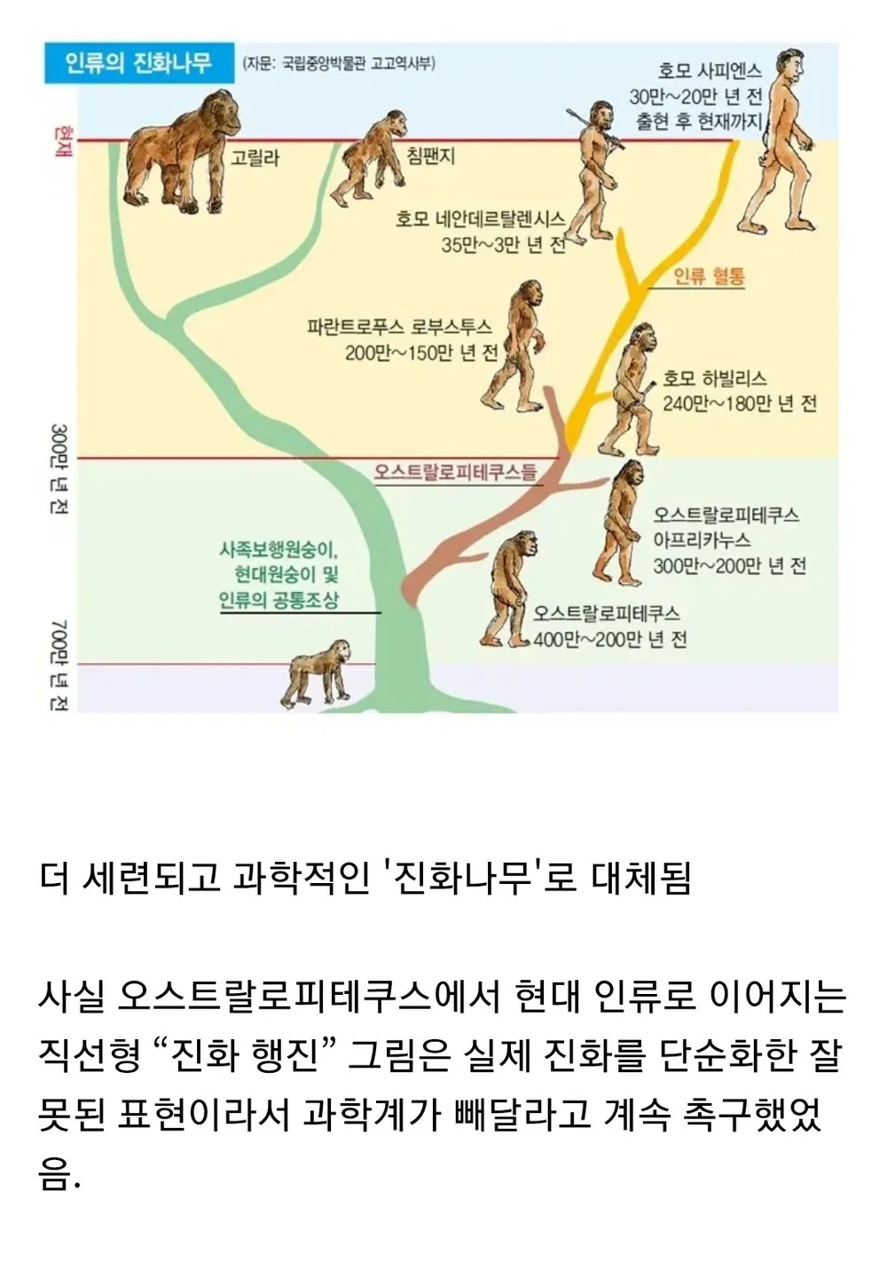 1790688212-1.webp