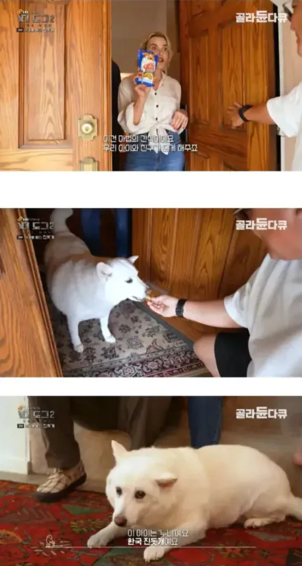 10398427735_486616_fc1a2ddf64e16fa927336e2d210f82bf.png.webp