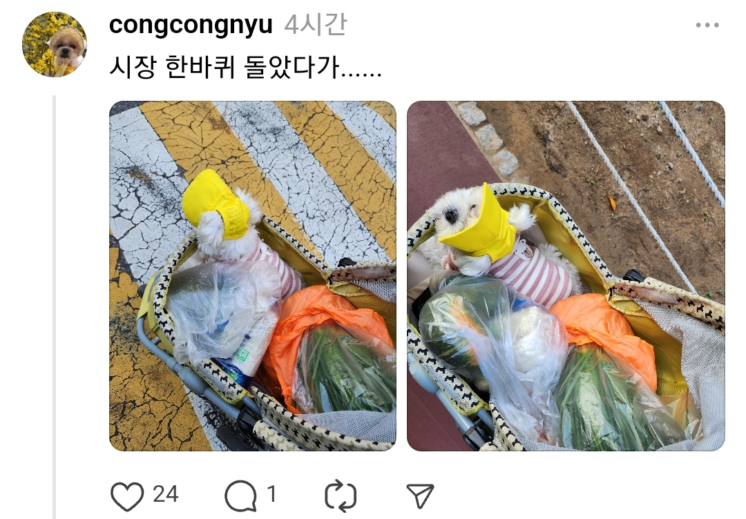 copyImage.jpg